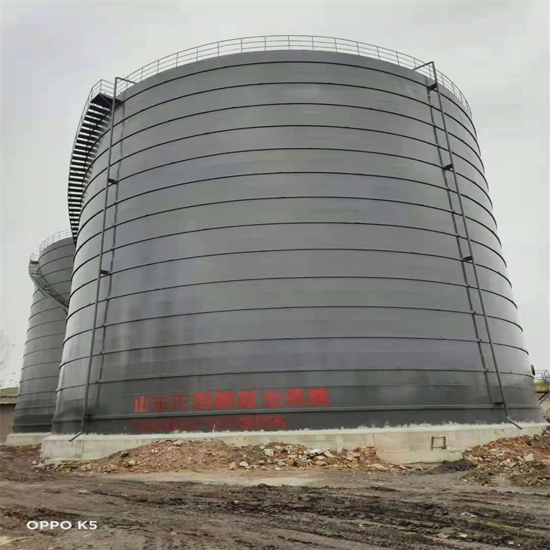 浔阳3万吨大型钢板库