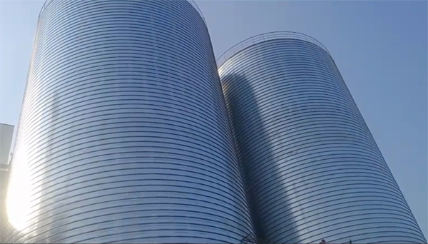 浔阳2座混凝土高架卷板仓